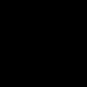 Meet your Posher, Vvanessa